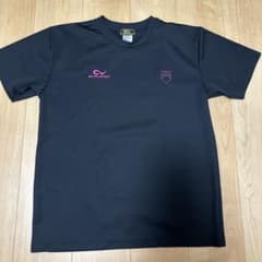 EV PLANET バレーボール Tシャツ Lサイズのサムネイル