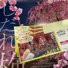 なばなの里　ベゴニアガーデン　3枚セット 2025.6.30までのサムネイル