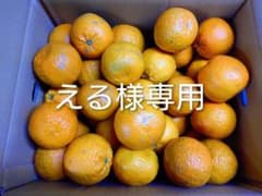 える様専用　屋久島たんかん　3L4L 10キロのサムネイル