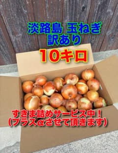 淡路島 玉ねぎ 訳あり 10キロのサムネイル