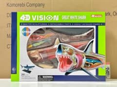 新品 4Dビジョン ホホジロザメ 解剖モデル Great White Shark - メルカリ
