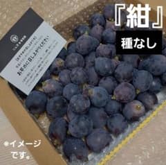 8/29-1　訳あり　紺　葡萄　ぶどう　果物　くだもの　にん忍葡萄園のサムネイル