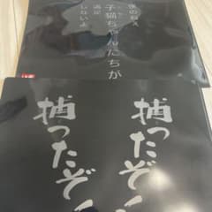 수요일 어떨까요 엔터테인먼트 복권 클리어 파일 2장 세트로 상