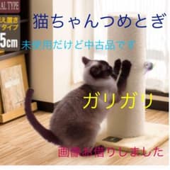 猫つめとぎのサムネイル