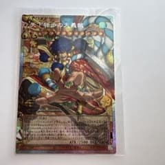 k*可様 天下独歩の大義賊 オーバーフレーム プリシク - メルカリ