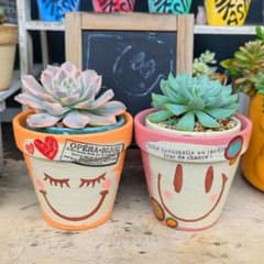多肉植物❤Smileリメ鉢❤普通サイズ❤デコ＆ステンシル❤2個セット❤のサムネイル