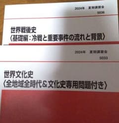 世界文化史、世界戦後史 代ゼミ テキスト 夏期講習会 2冊セット - メルカリ