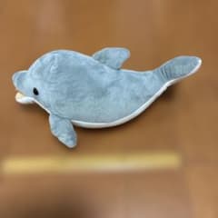 イルカ ぬいぐるみ 30cm水族館グッズのサムネイル