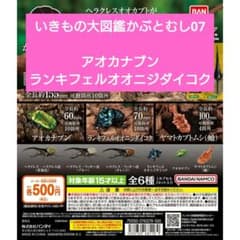 いきもの大図鑑　かぶとむし07 アオカナブン　ランキフェルオオニジダイコクのサムネイル