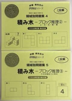 ピグリシリーズ ピグマリオン 積み木 2冊セット - メルカリ