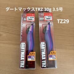 ダートマックスTRZ 30g 3.5号 TZ29 パープルボーダーパープル 2個