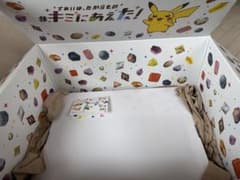 ポケモン パッケージピンズ オールパッケージコレクション 1996-2025のサムネイル