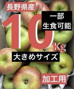 きのこ桃果　加工用　摘果りんご　大きめ　約40キロ（20＊2）　144 摘果りんご 約10kg 加工用 大きめサイズ 一部生食可能 長野県産