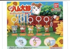 めじるしアクセサリーハム太郎のサムネイル