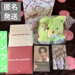 ENHYPEN THE SIN VANISH ソンフン ボイスキーリング ぬい - メルカリ