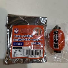 アルビレックス新潟　早川史哉選手　ミニ提灯ライトキーホルダーのサムネイル