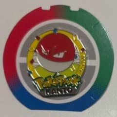 ポケパーク ピンズ ビリリダマ - 2