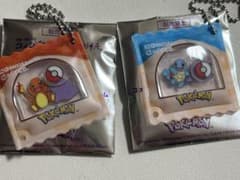 포켓몬 코메다 콩과자풍 매력 제니가메 인간 도마뱀