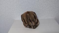 ミュールバウアーのサムネイル