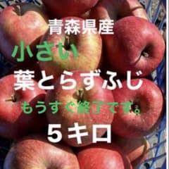青森県産【小さい葉とらずふじ】訳ありご自宅用になりますのサムネイル