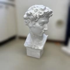 石膏像 ジュリアーノ・メディチ胸像 デッサン - メルカリ