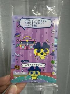 たまごっち プチプチおみせっちしり〜ず カード＆フレーム ヘアメイクやさんのサムネイル
