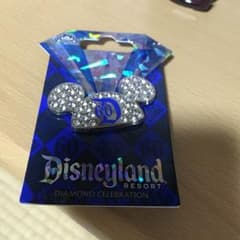 カルフォルニアディズニーランドのサムネイル