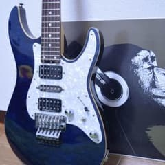 schecter SD2 24のサムネイル