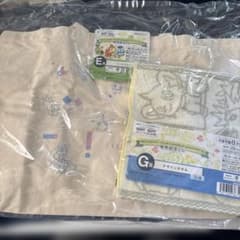 포켓몬 브릴리언트 다이아몬드 샤이닝 펄 발매 기념 복권 E상 G상