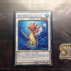 たつのこ 遊戯王のサムネイル