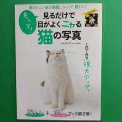 もっと!見るだけで目がよくニャる猫の写真のサムネイル