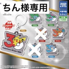 ちん様専用 ポケモン 30周年 メタルチャームマスコット 5種セットのサムネイル