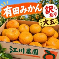 有田みかん　極早生みかん　日南　大玉　江川農園 訳あり 大玉 農家直送のサムネイル