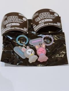 SKZOO めじるしアクセサリー ~雲プレートver~ リビトゥエッキ2体setのサムネイル