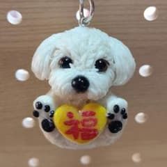 まんまる福犬♡マルチーズ☆キーホルダー☆のサムネイル