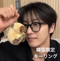 韓国カピバラ ぬいぐるみ マスコット キーホルダー