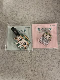 JA共済 ミノリッタ アクリルヘアクリップ TGC アクリルチャーム めじるしのサムネイル