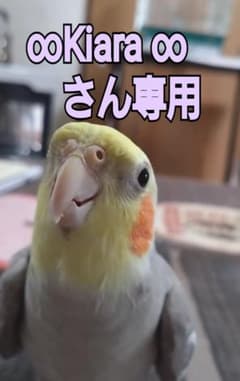 ∞Kiara ∞さん専用 - 2