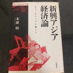 新興アジア経済論 キャッチアップを超えてのサムネイル