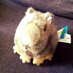 カピパラ人形のサムネイル