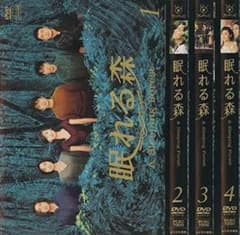眠れる森 A Sleeping Forest 中山美穂 DVD全巻完結セット - メルカリ