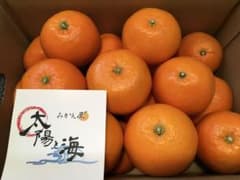 愛媛の伊予柑☆混合サイズ☆ご家庭用☆4.5kg ×3ケース - メルカリ