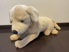 本物そっくり！犬のぬいぐるみ！！のサムネイル