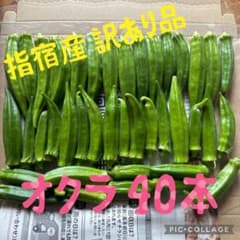 ‼️値下げ‼️指宿産 オクラ 訳あり品のサムネイル