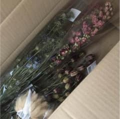 ドライフラワー＊あいあい様専用のサムネイル