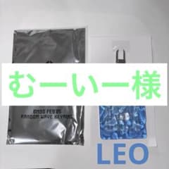 BMSG FES'25ランダムウェーブキーリング LEOのサムネイル