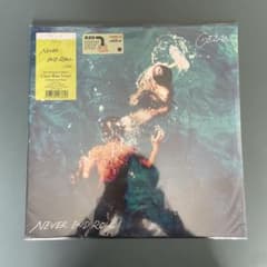 新品 GEZAN NEVER END ROLL アナログレコード LP - メルカリ