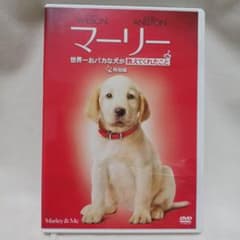 マーリー 世界一おバカな犬が教えてくれたこと('08米)のサムネイル