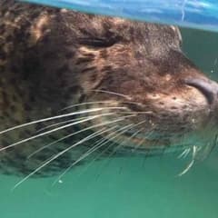 windcalm様専用のサムネイル