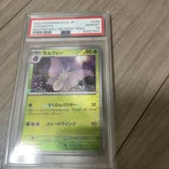 151 モルフォン PSA10 マスボミラー 151 モルフォン PSA10 マスボミラー - メルカリ